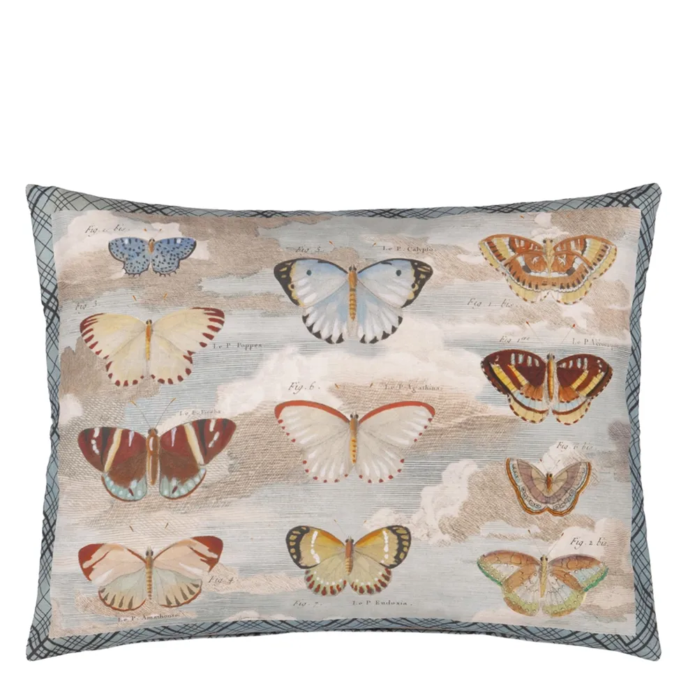 Cushion BUTTERFLY STUDIES PARCHMENT by John Derian