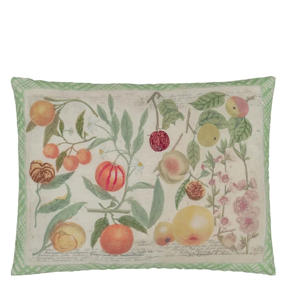 Cushion ORANGES CANVAS by John Derian